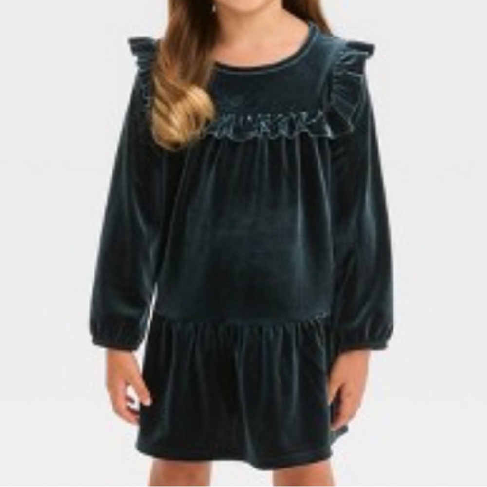 Toddler Girls' A-Line Velour Long Sleeve Dress
